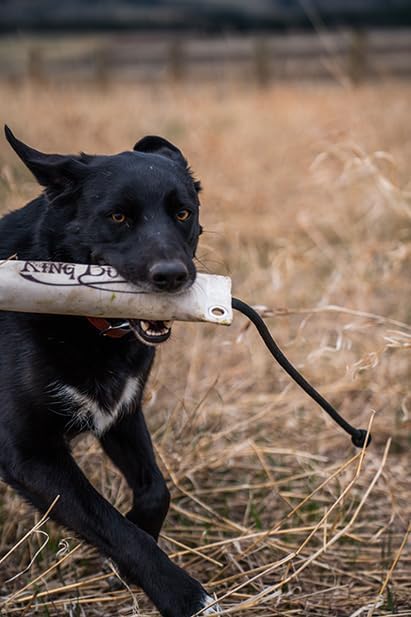 King Buck Canvas Training Dummies 2-Pack