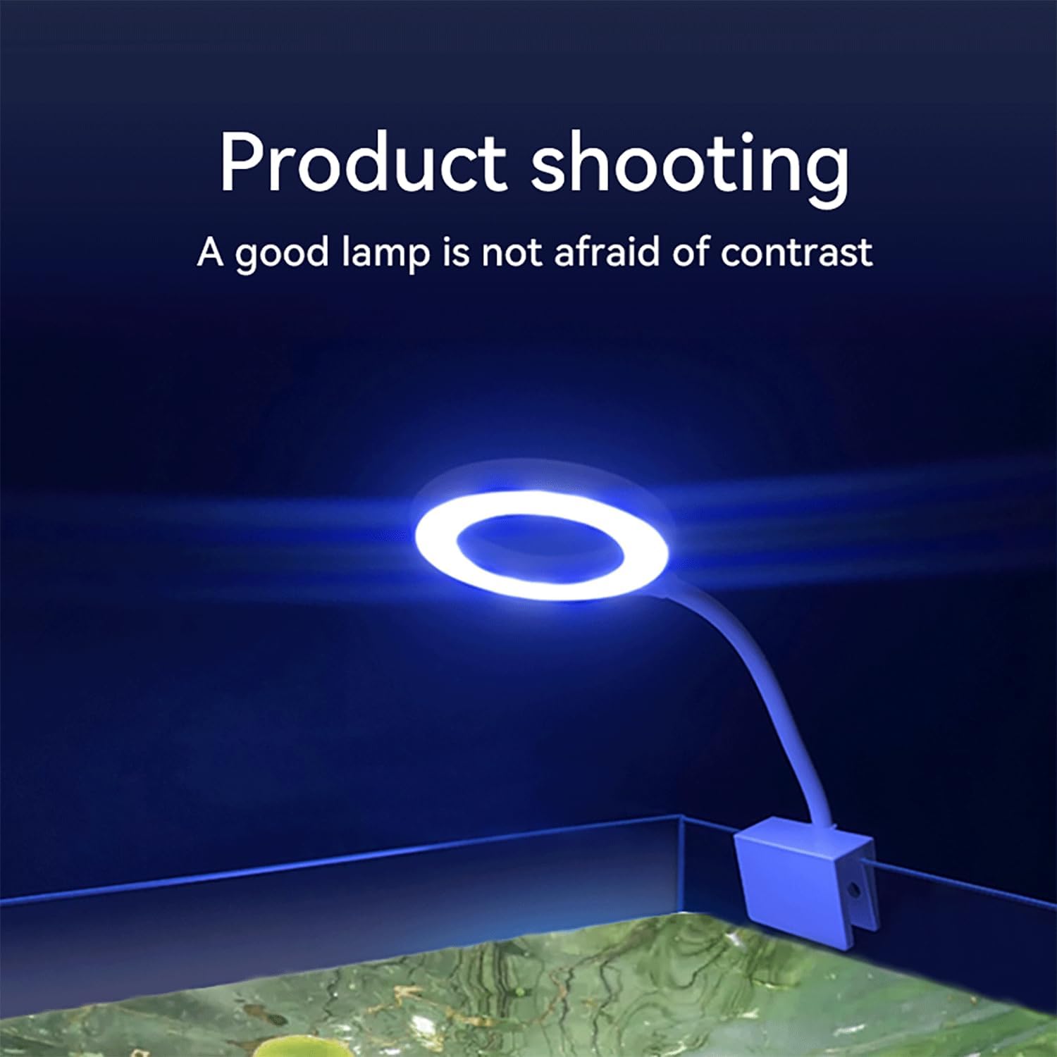 0.5-5 Gallon Fish Tank Clip On Aquarium Light with White Blue Red LEDs Small Aquarium Light,Full Spectrum Fish Tank Light with USB Port and 360 Degrees Flexible Rotate