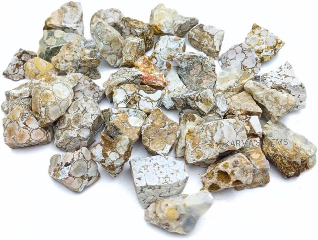 1 LB Fossil Jasper - Natural Raw Stones for Tumbling, Cabbing, Fountain Rocks, Decoration, Polishing, Wire Wrapping, Wicca & Reiki, Gemstone, 1 Inch+ Size, 2000+ Carat