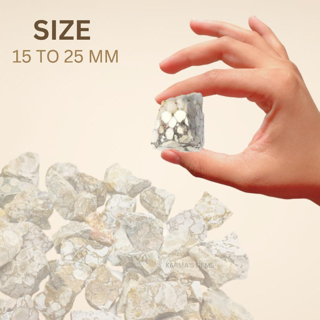 1 LB Fossil Jasper - Natural Raw Stones for Tumbling, Cabbing, Fountain Rocks, Decoration, Polishing, Wire Wrapping, Wicca & Reiki, Gemstone, 1 Inch+ Size, 2000+ Carat