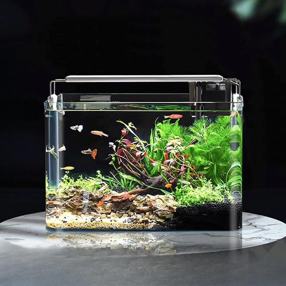 1.5 Gallon Aquarium Fish Tank，Rimless Aquarium Tank，8.7" L × 5.9" W × 6.7" H