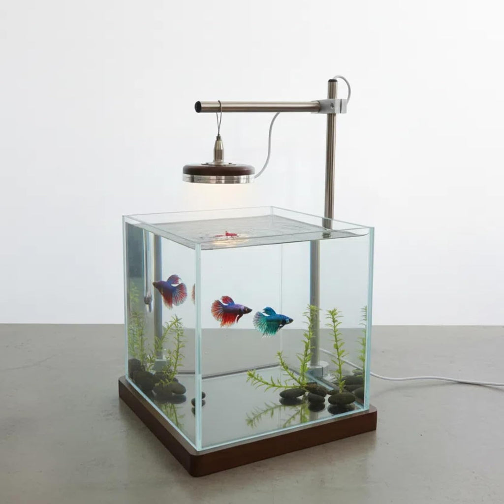 1.8 Gallon Small Fish Tank with LED Light & Wood Stand - 8 Inch Nano Aquarium Betta Tank Starter Kit - Includes Cleaning Tool, Cloth & Mat for Desktop, Office, Bedroom