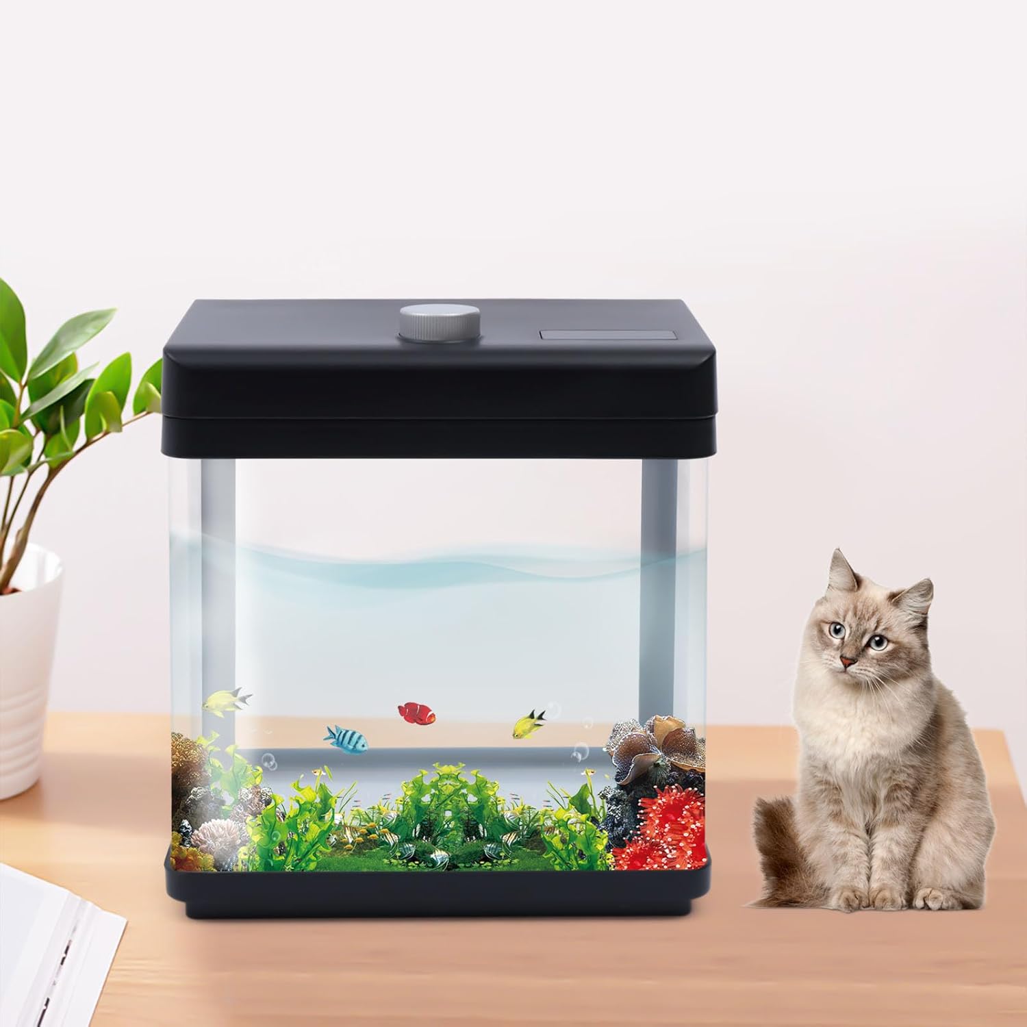 1.5 Gallon Fish Tank Starter Kits, Low Noise Betta Fish Tank with Fil-TER LED Light Submersible Pu-mp, Glass Small Fish Tank Smart Aquarium kit with Dimmer Button Water Temperature Display