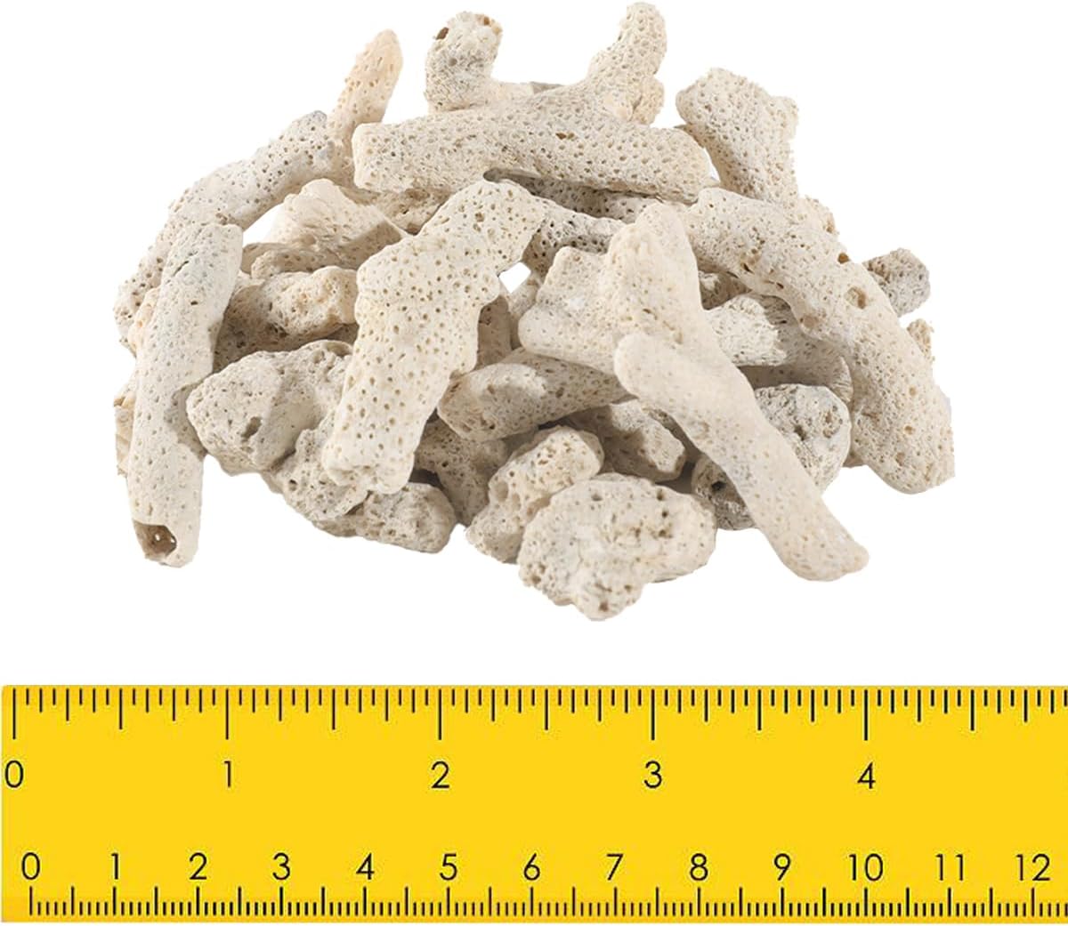 1.1 LB Coral for Fish Tank Filter,Crushed Coral for Aquarium,Pond Filter for Aquarium - Crushed Coral for Freshwater Aquarium,Aquarium Filter, Coral Stones, Each One is Hand Selected