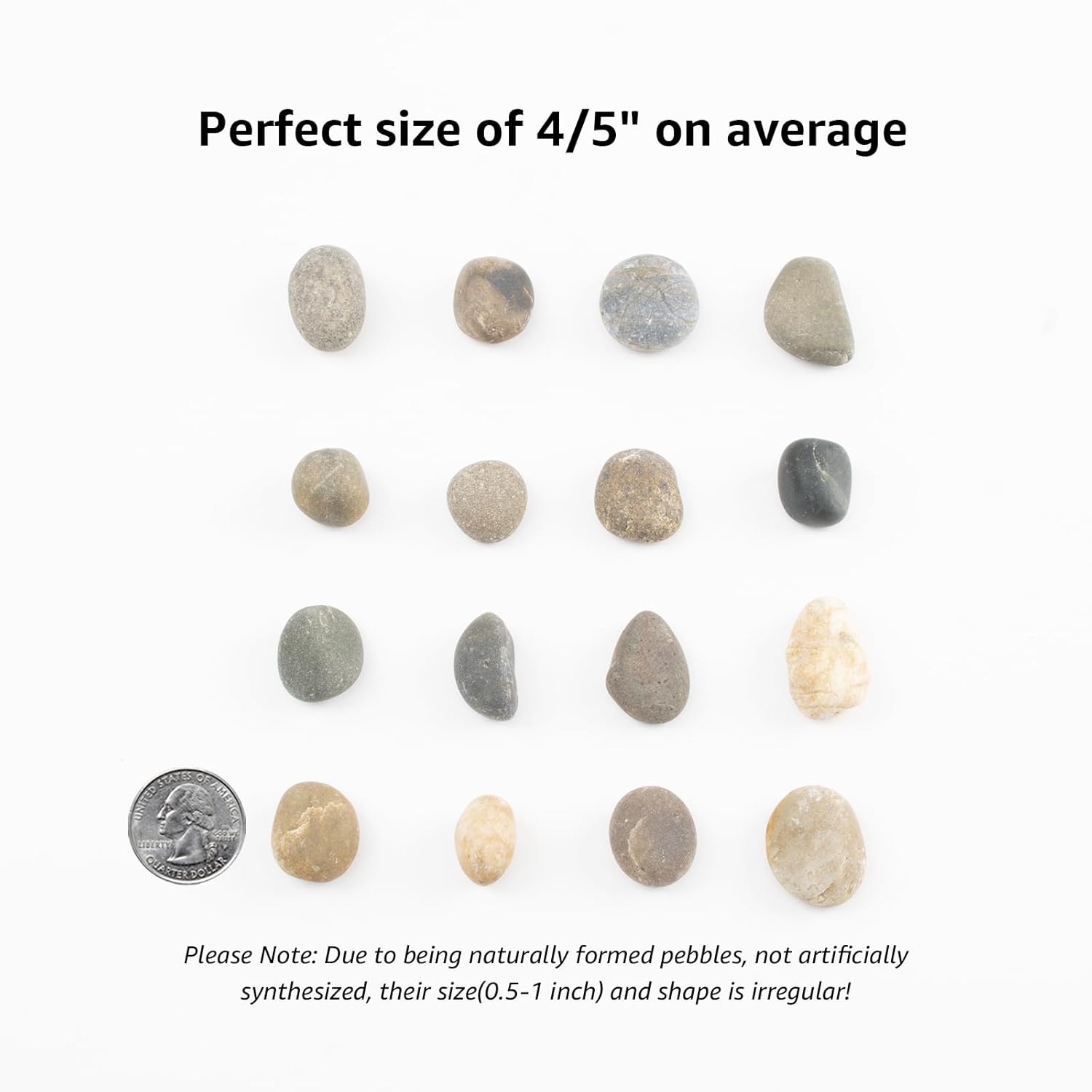 10 LBS Natural Pebbles - 1/2-1 inch Natural River Stones, Screened Decorative River Rocks for Landscaping, Garden Pathway, Plant Stones, Craft Walkways, and Outdoor Decorative (1/2-1 Inch