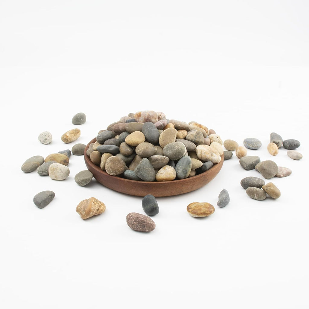 10 LBS Natural Pebbles - 1/2-1 inch Natural River Stones, Screened Decorative River Rocks for Landscaping, Garden Pathway, Plant Stones, Craft Walkways, and Outdoor Decorative (1/2-1 Inch