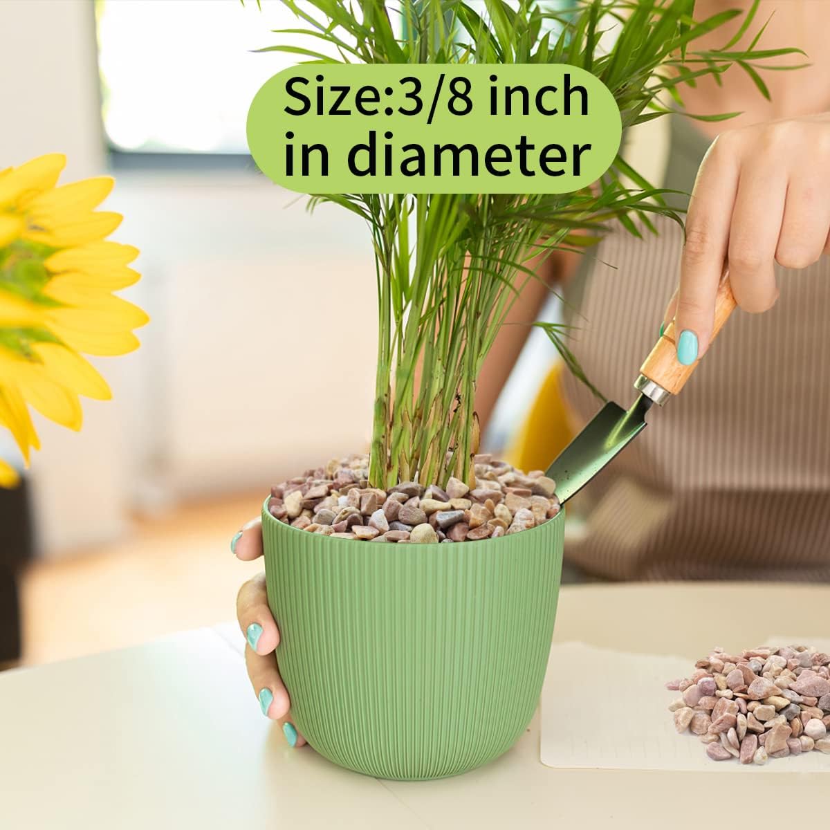 10 LB Natural Pea Gravel Small Pebbles - 3/8 Inch Decorative Pebbles for Indoor Plants,Terrarium Rocks, Outdoor Decorative Rocks, Vase, Succulent Rocks, Aquarium Gravel and Landscaping Rocks