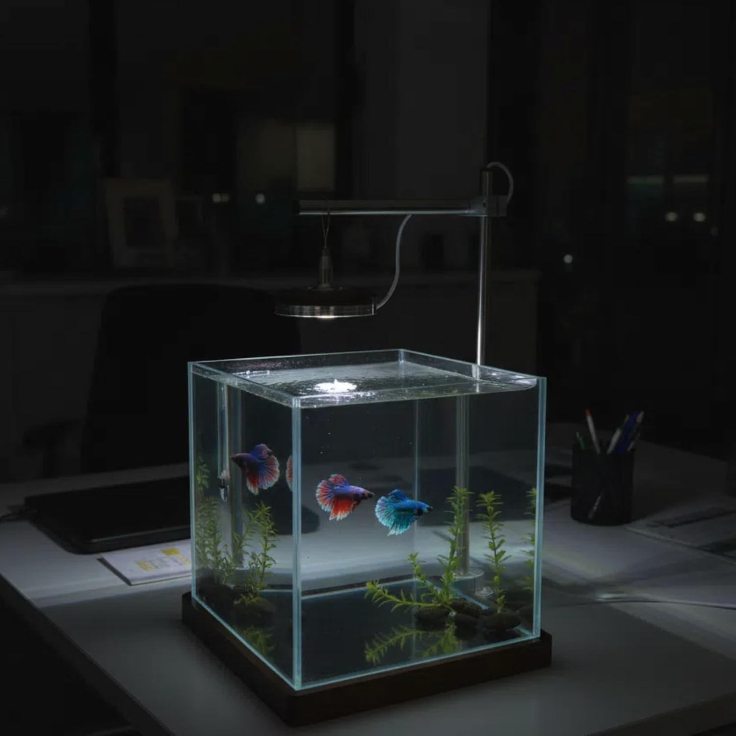 1.8 Gallon Small Fish Tank with LED Light & Wood Stand - 8 Inch Nano Aquarium Betta Tank Starter Kit - Includes Cleaning Tool, Cloth & Mat for Desktop, Office, Bedroom