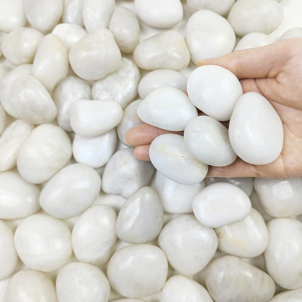 10 lbs White River Rocks, 1-2 Inch Polished Pebbles for Indoor Plants, Decorative White Stones for Plants, Vase, Aquarium, Fish Tank, Landscaping and Garden