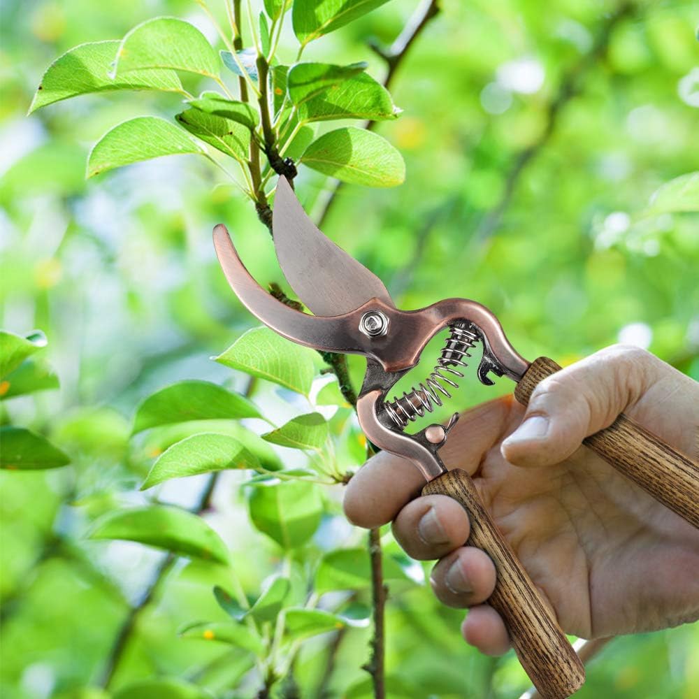 1 Gallon Galvanized Steel Watering Can with 3 Pcs of Garden Tools, 1 Pc of Pruning Shear, 1 Pair of Gardening Gloves，1 Pc of Garden Tools Organizer Tote