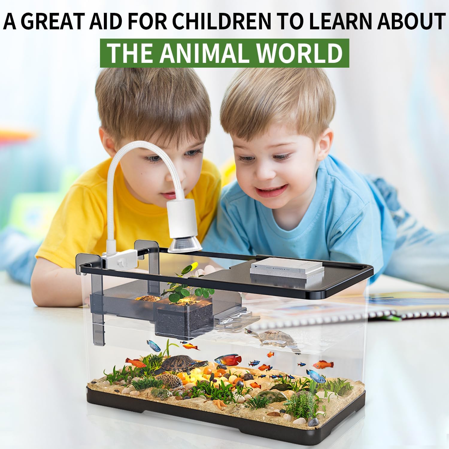 (Tank + Light + Filter + Filter Balls) Turtle Tank Kit, Turtle Tank Starter Kit,Bottom Drainage, Multi-Function Areas for Turtles, Crabs,Fishes, Amphibians,Reptiles. (21.65 × 12.28 × 12.28 Inch)