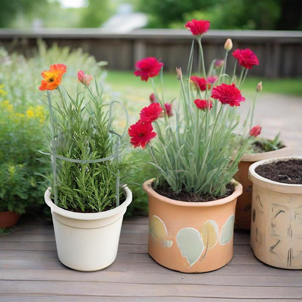 10 Pack Stackable Monstera Plant Support, Garden Stakes for Climing Plants Stem Support, Durable Plant Accessories for Indoor Outdoor Potted Plants, Flower Other Climbing Plants