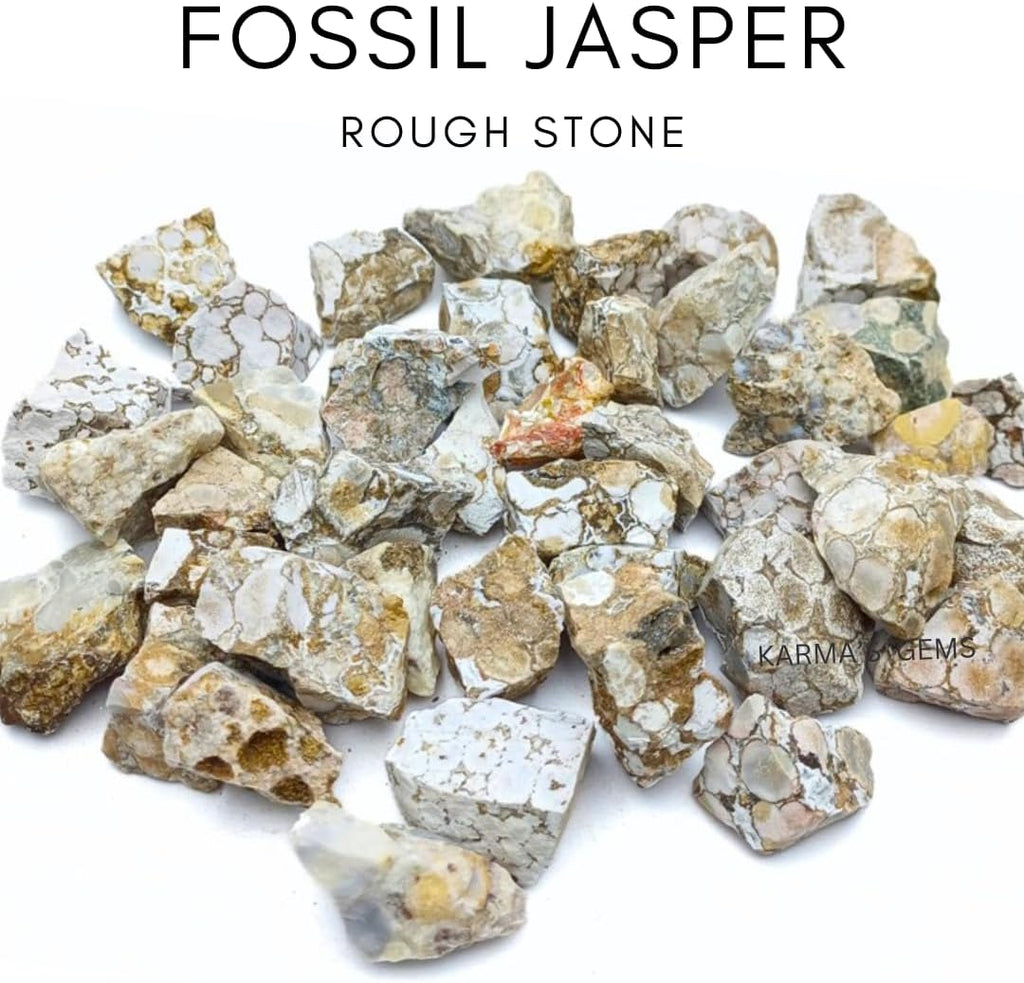 1 LB Fossil Jasper - Natural Raw Stones for Tumbling, Cabbing, Fountain Rocks, Decoration, Polishing, Wire Wrapping, Wicca & Reiki, Gemstone, 1 Inch+ Size, 2000+ Carat