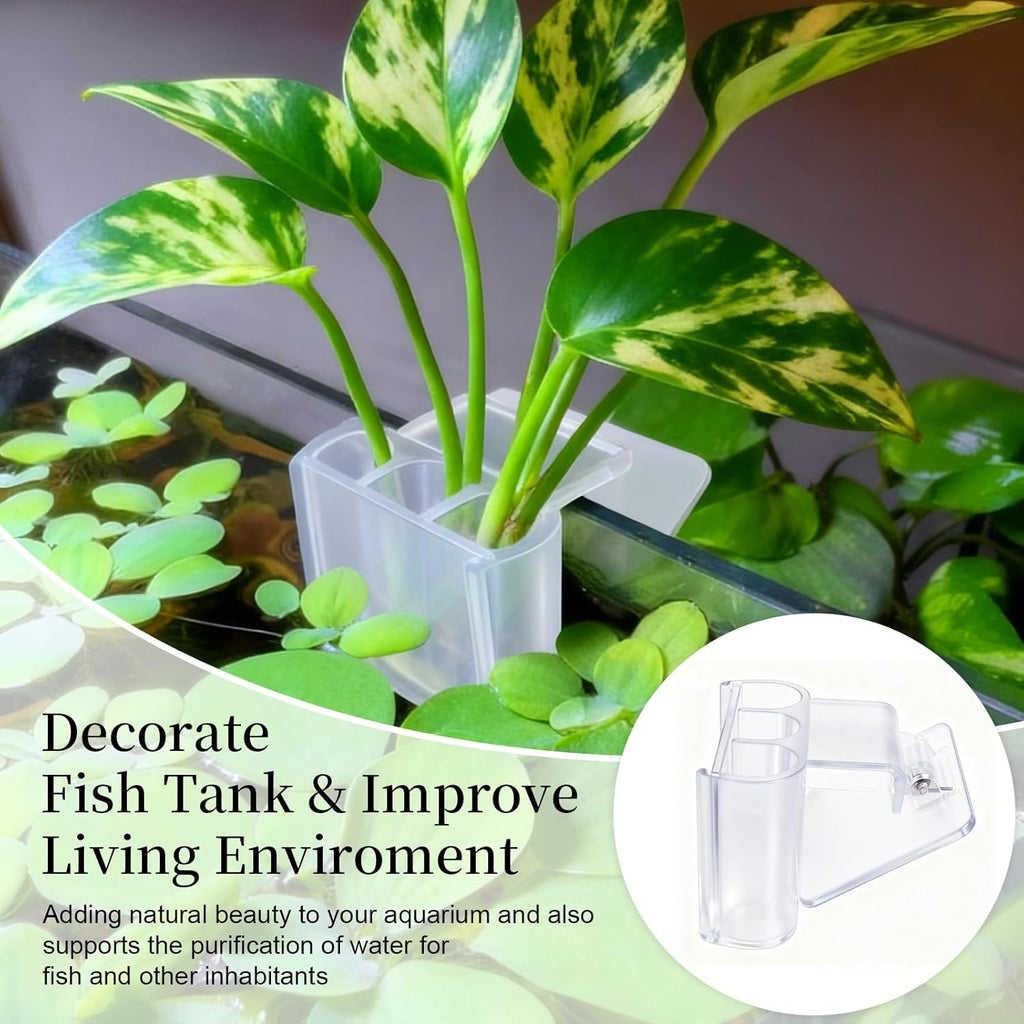 1 Pack Hanging Aquarium Plant Holder – 3 Holes Aquatic Plant Cups, Fish Tank Holder for Aquatic Plants, Ideal for Aquarium Tank Decoration(Transparent)