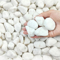 10 lbs White Gravel for Landscaping, 1-2 Inch Pebbles for Indoor Plants, Decorative River Rocks for Succulent, Vases, Aquariums, Crafting and Garden