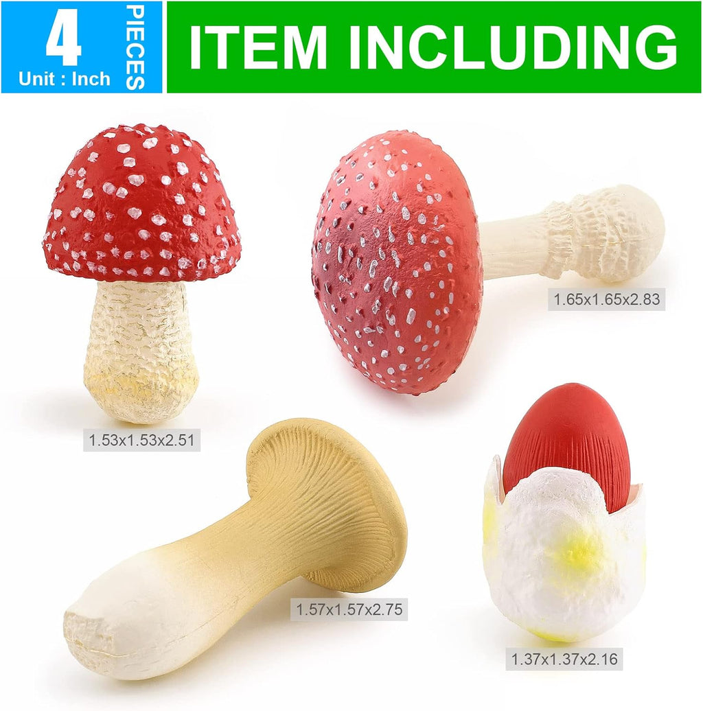 1.5Inch Mushroom Toy Set Fantastic Fungi Figure 4PCS Realistic Life Cycle of Mushroom Decor for Diorama Projects Kids Birthday Gift Learning Toy