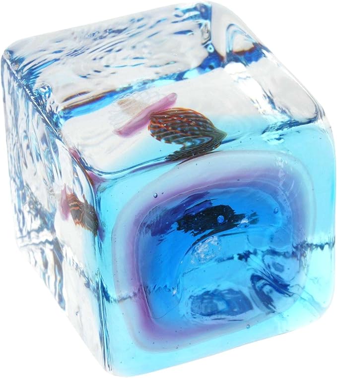 GlassOfVenice Murano Glass Aquarium Cube with Jellyfish