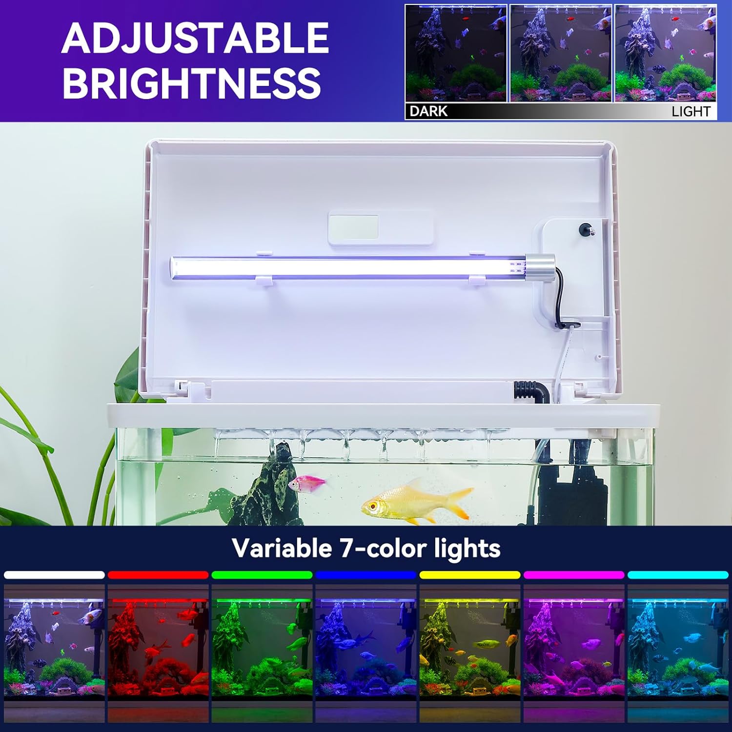 10 Gallon Betta Fish Tank – Features Pre-Set Light Timing, 7 LED Colors, Custom Brightness, High-Def Glass & Multi-Stage Filter Complete Aquarium Kit for Beginners
