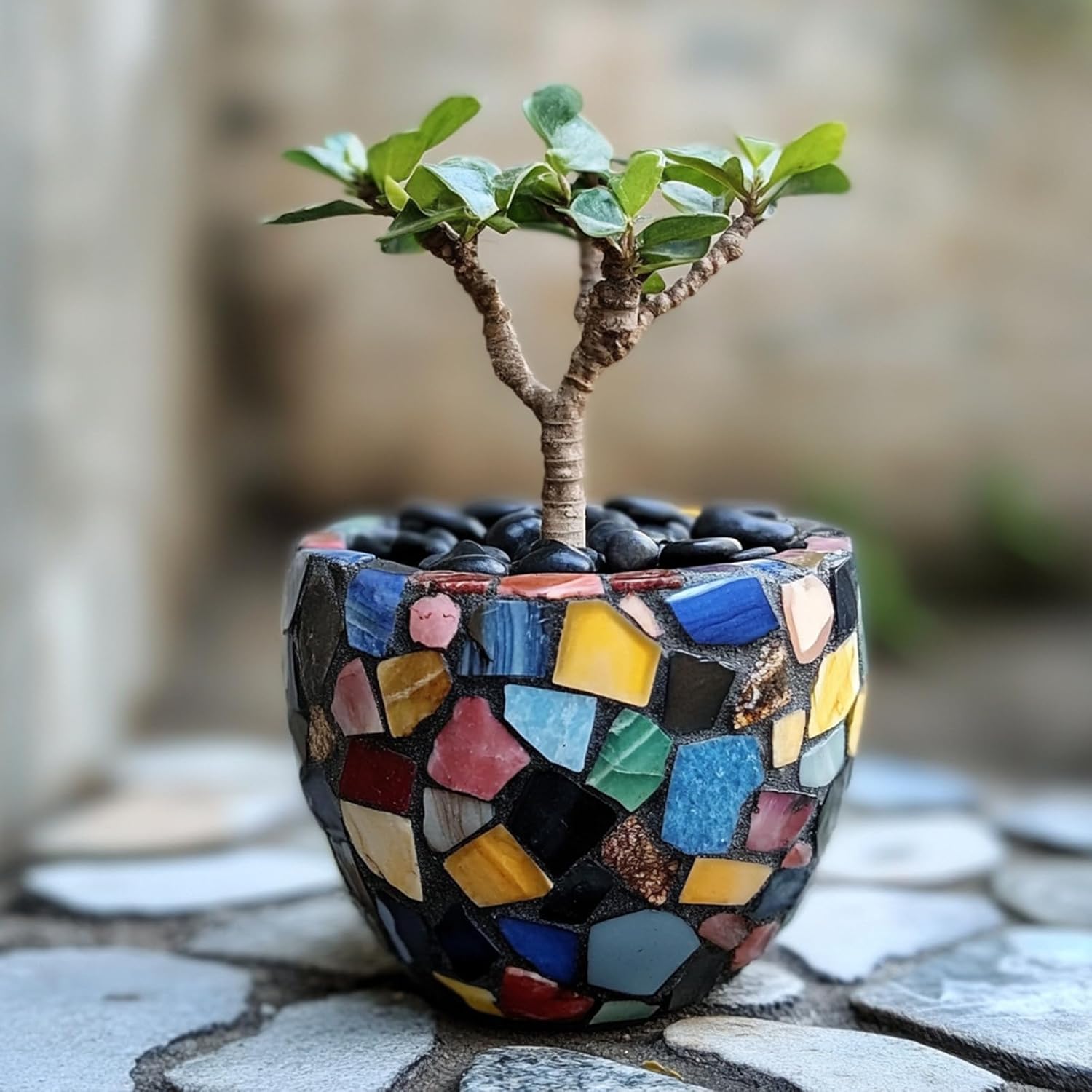 10 lbs Black River Rocks - Large Polished Black Pebbles for Plants & Garden Decorative Stones，1-2" Polished Pebbles for Landscaping, Fish Tanks, Flower Pots, Water Fountains