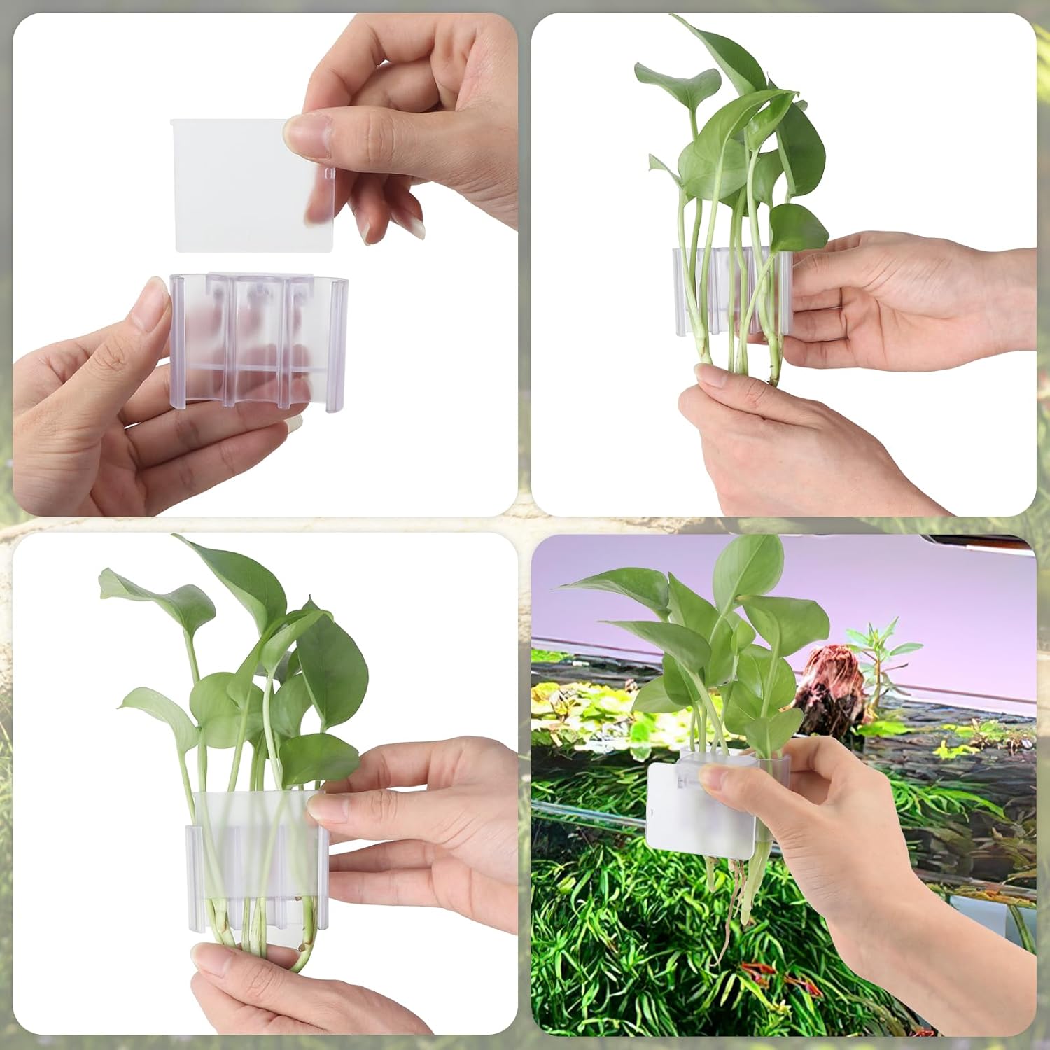 1 Pack Hanging Aquarium Plant Holder – 3 Holes Aquatic Plant Cups, Fish Tank Holder for Aquatic Plants, Ideal for Aquarium Tank Decoration(Transparent)