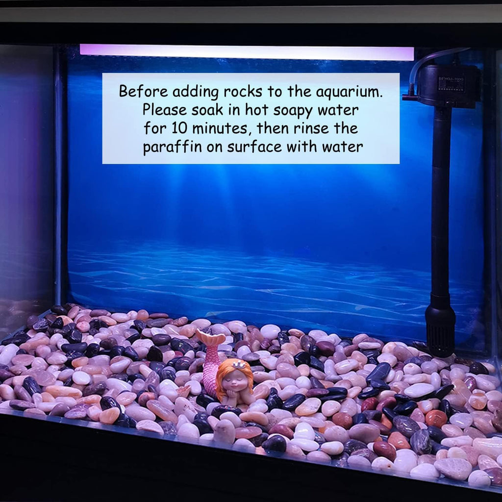 10 lbs Pebbles for Indoor Plants, 2-3 inch Large River Rocks Decorative Stones for Garden, Aquarium, Vase Fillers, Outdoor Landscaping and Backyard