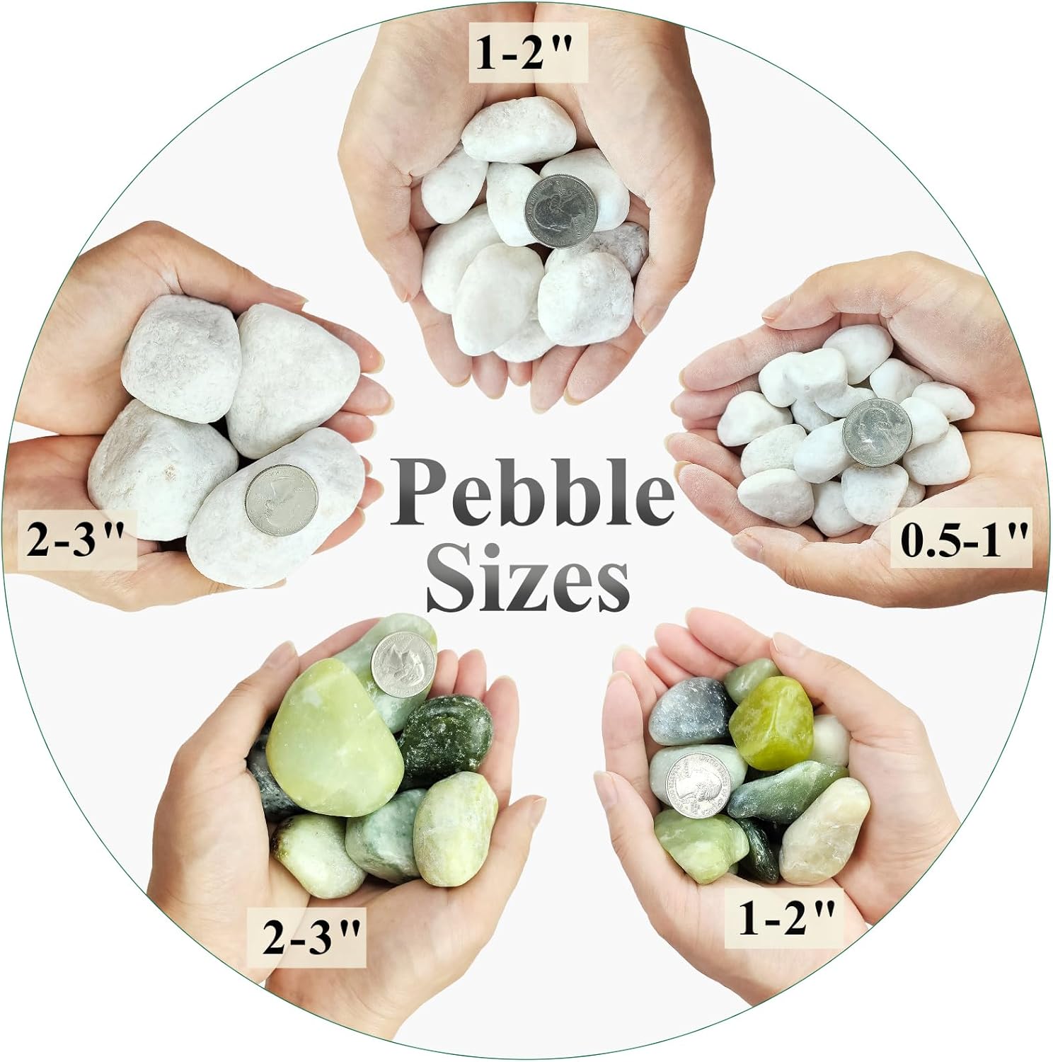 10 lbs White Gravel for Aquarium, 2-3 Inch Large Pebbles for Planters, Decorative River Rocks for Plants Indoor, Landscaping, Vases, Fish Tank, Crafting and Garden