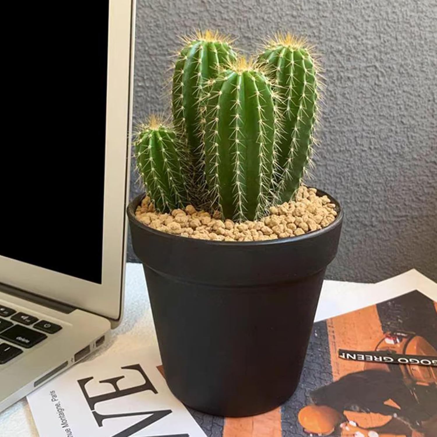 10 lbs Maifanitum Stones for Succulent,1/4 Inch Decorative Rocks for Indoor Plants, Bonsai, Soil Cover. Small Stones for Water Drainage and Plant Growth