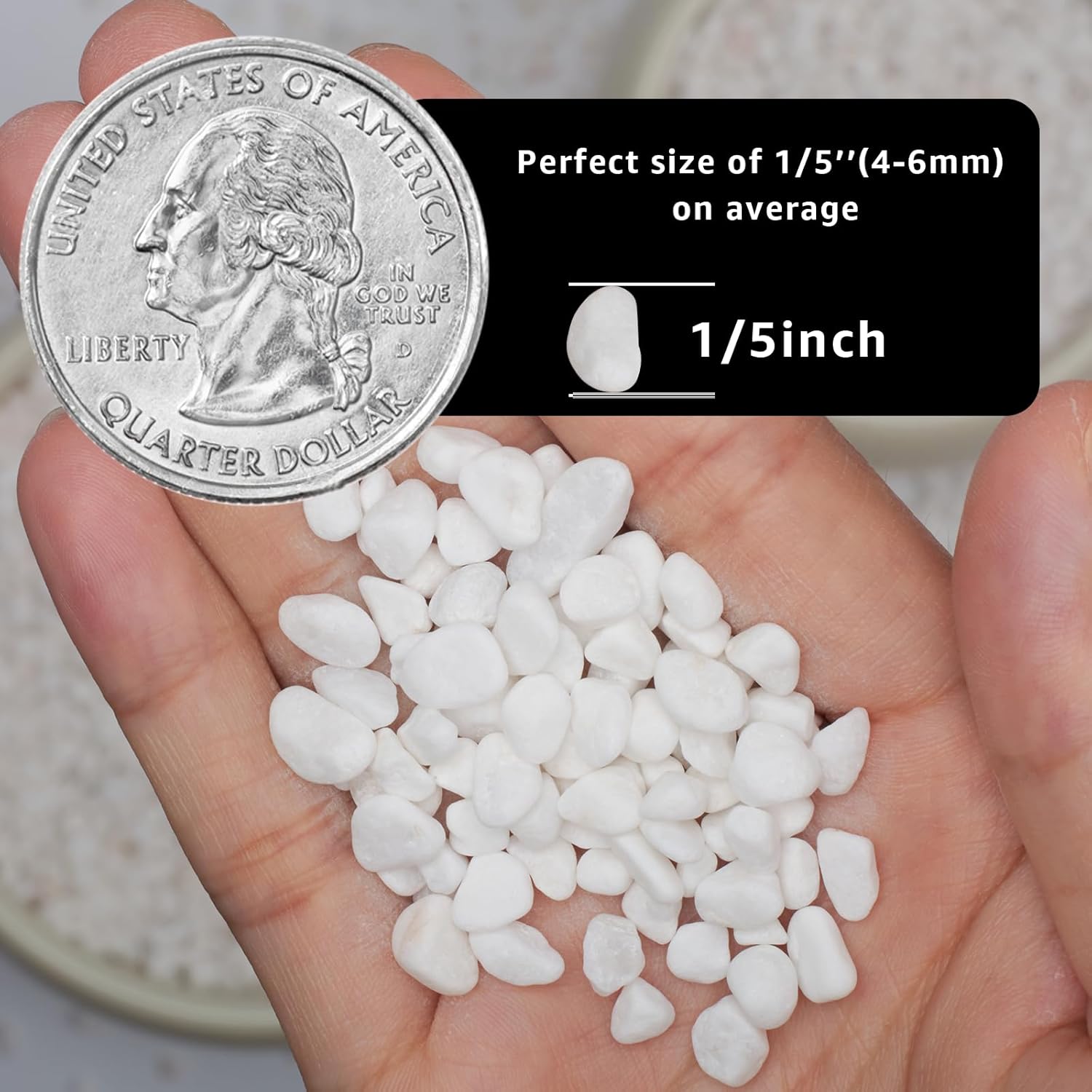 1/5 Inch White Succulent Cactus Gravel, 5 lbs – Ideal for Succulent Plant Pots, Vase Fillers, Glass Containers, Aquariums, Patios, and Outdoor Gardening River Stones (White, 5 Pounds)