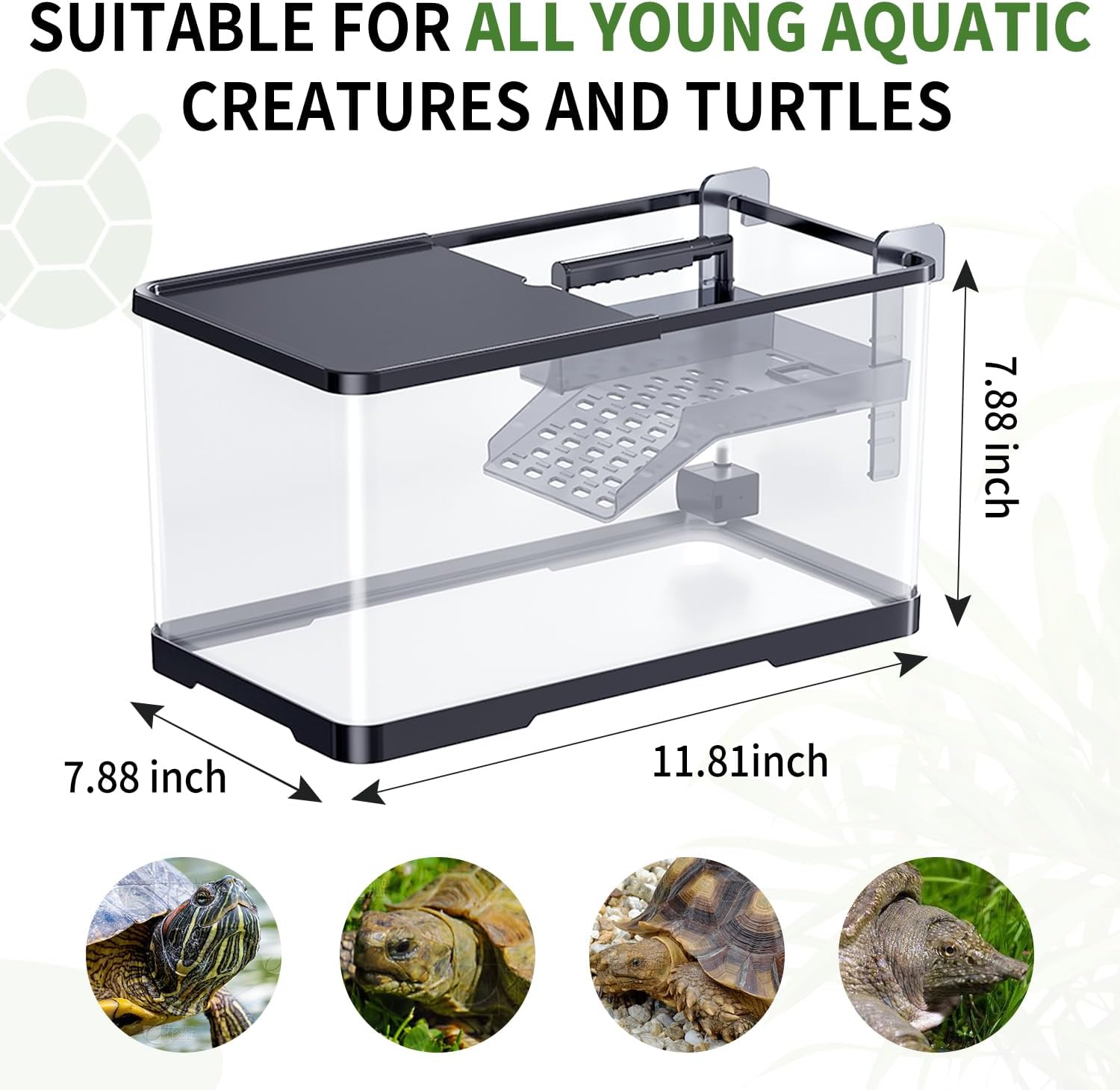 (Tank + Light +Pump + Filter Balls) Turtle Tank Kit, Turtle Tank Starter Kit,Bottom Drainage, Multi-Function Areas for Turtles, Crabs,Fishes, Amphibians,Reptiles. (11.81 x 7.88 x 7.88 Inch)