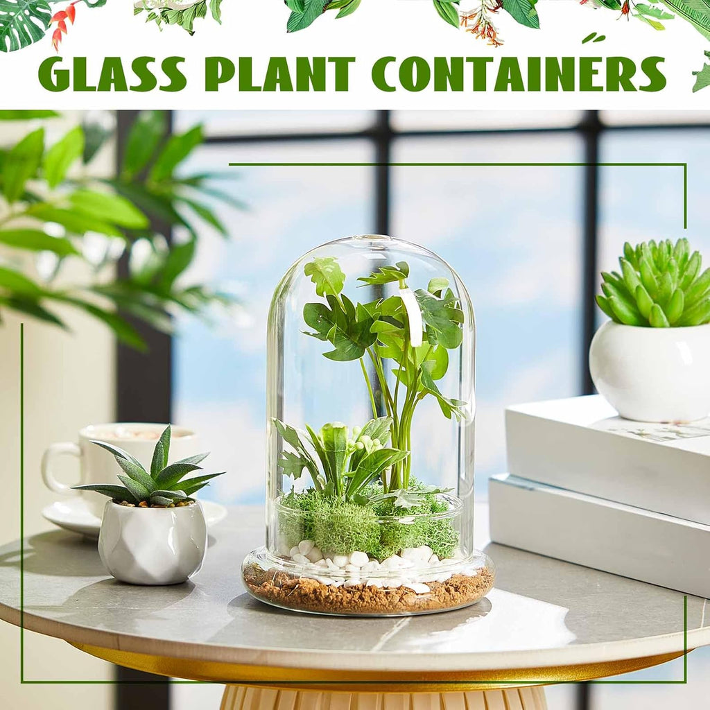 1 Pcs Glass Terrarium 5.9 x 7.9 Inch Terrarium Planter Container Clear Glass Dome Cloche with Airhole and Base for Plant Flower Home Tabletop Display Centerpiece, Plants Not Included