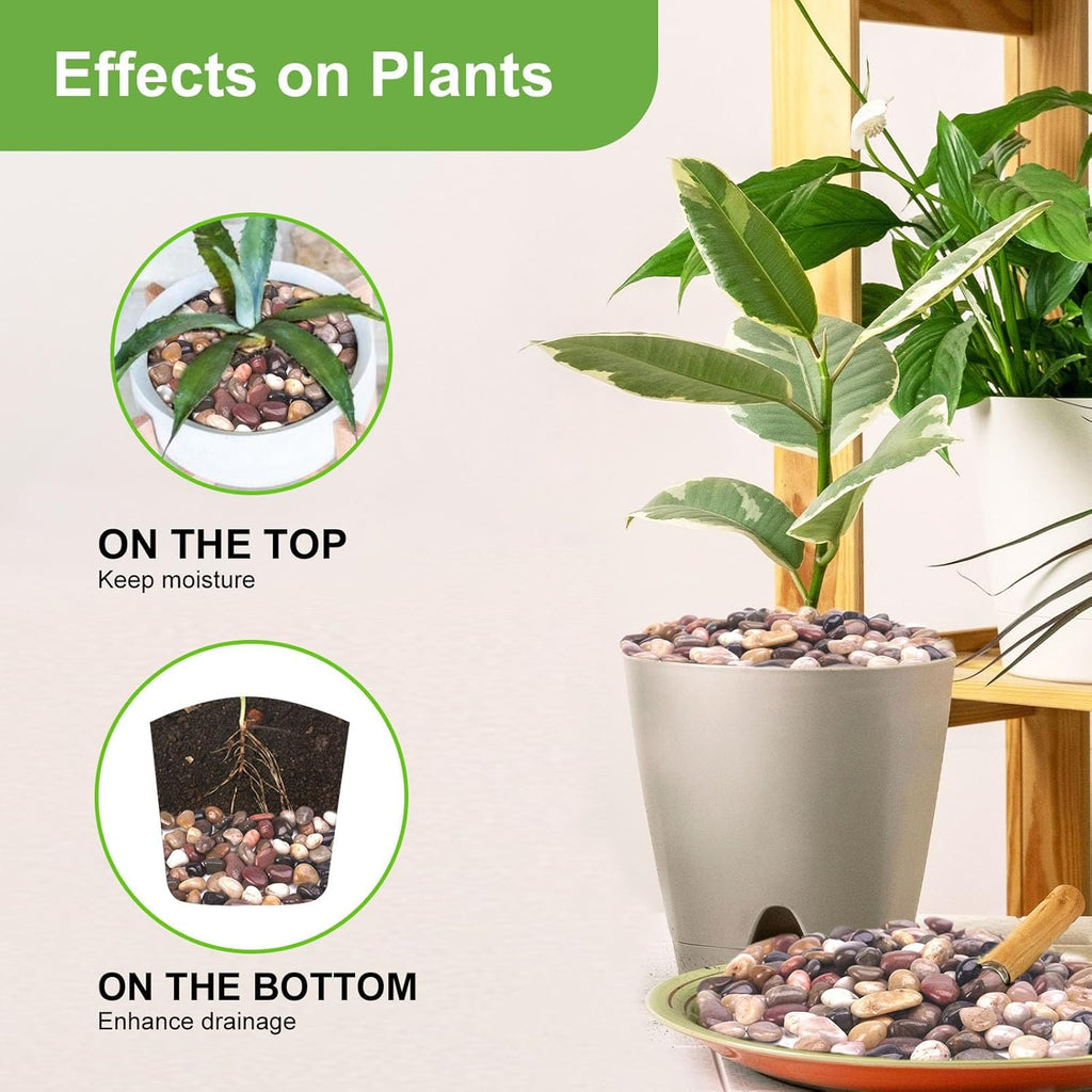 10 lbs Decorative Rocks for Planters and Outdoor Landscaping, 1"- 1 1/2", Pebbles for Indoor Plants, Vases, Terrarium, Polished Stones for Garden Decor