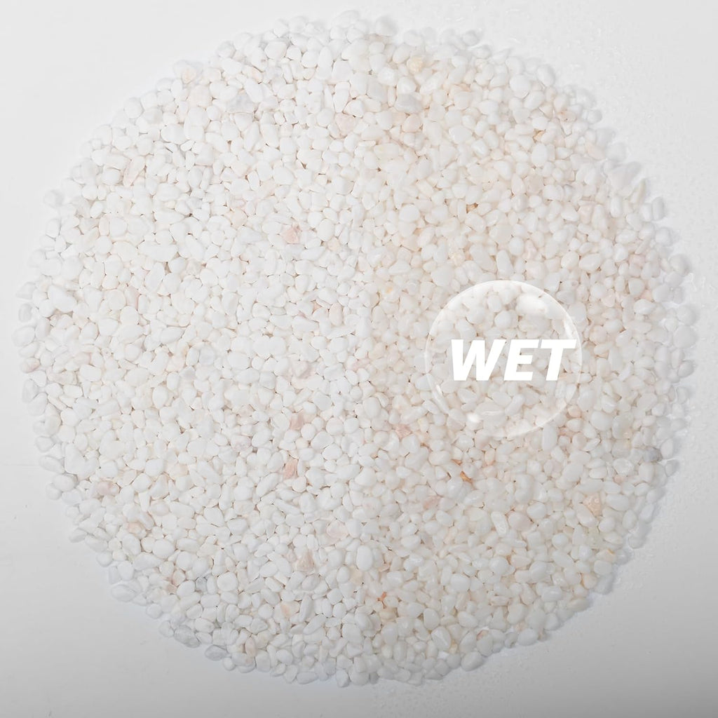 1/5 Inch White Succulent Cactus Gravel, 5 lbs – Ideal for Succulent Plant Pots, Vase Fillers, Glass Containers, Aquariums, Patios, and Outdoor Gardening River Stones (White, 5 Pounds)