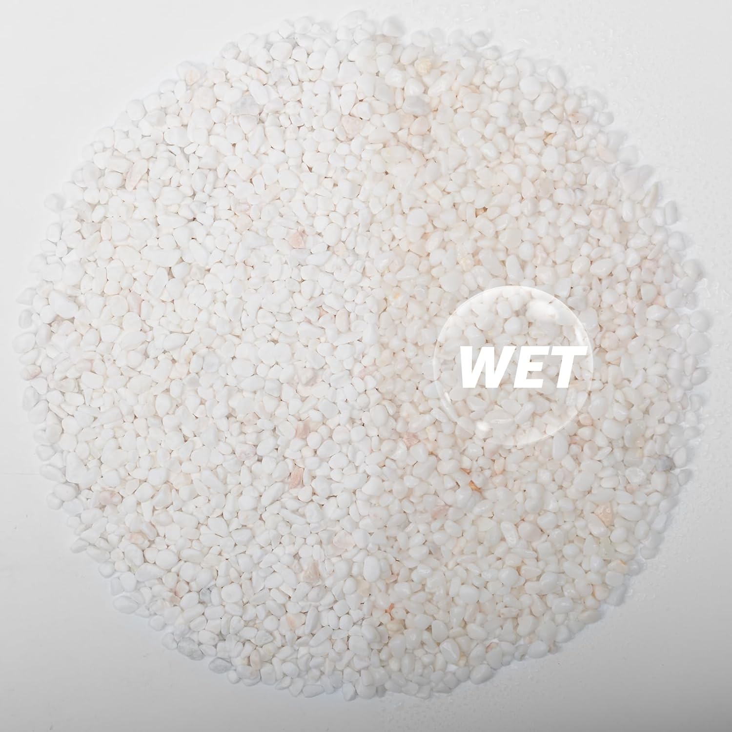 1/5 Inch White Succulent Cactus Gravel, 5 lbs – Ideal for Succulent Plant Pots, Vase Fillers, Glass Containers, Aquariums, Patios, and Outdoor Gardening River Stones (White, 5 Pounds)