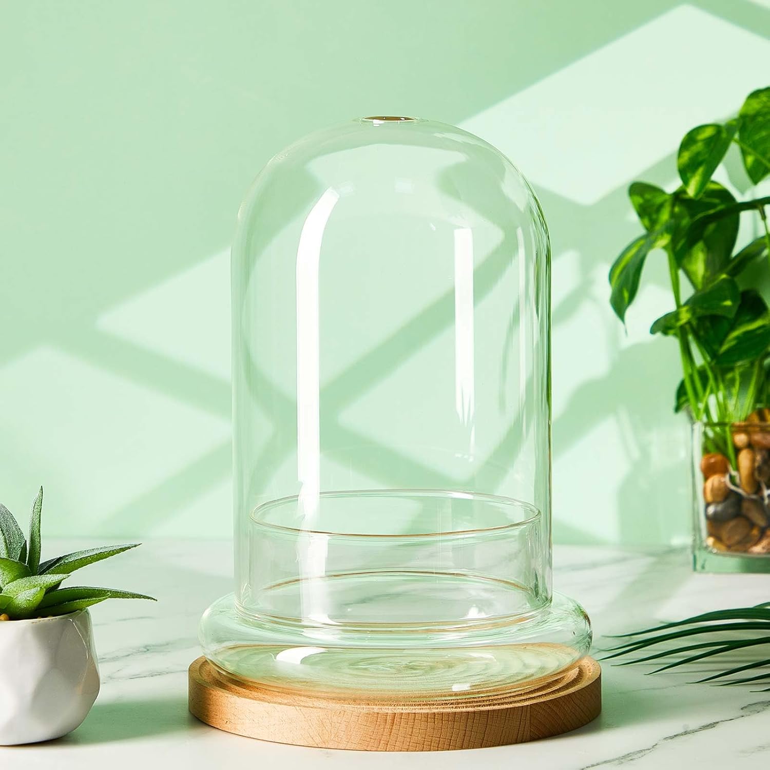 1 Pcs Glass Terrarium 5.9 x 7.9 Inch Terrarium Planter Container Clear Glass Dome Cloche with Airhole and Base for Plant Flower Home Tabletop Display Centerpiece, Plants Not Included