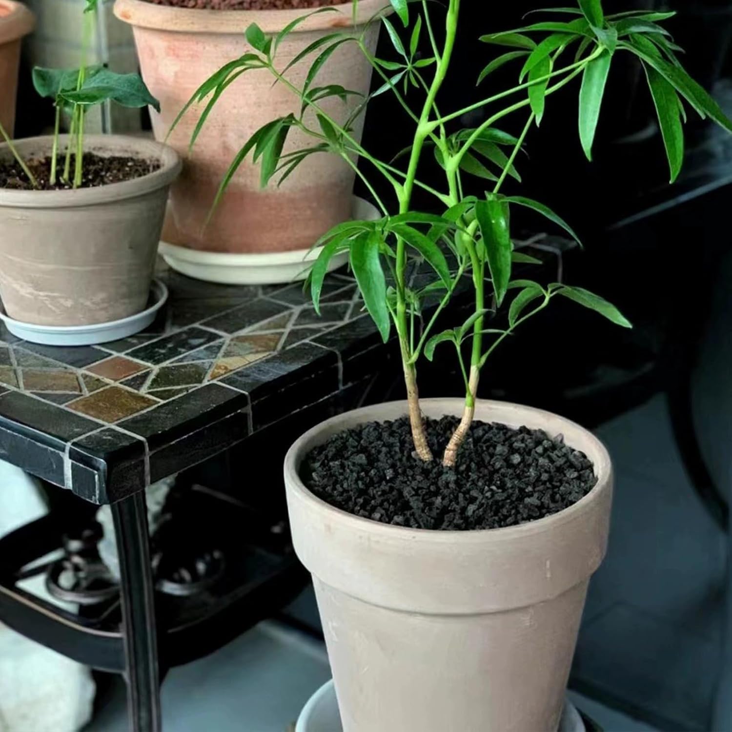 10 lbs Black Lava Rocks for Fire Pits,5-8 MM Crush Volcanic Rock Pumice Soil Additive for Succulent Plants Aquarium Cactus Bonsai and Garden Landscaping