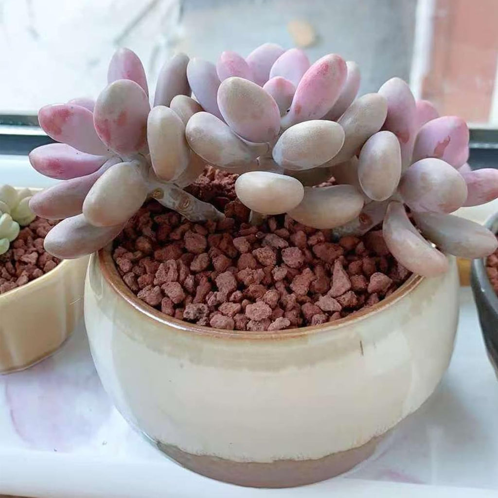 10 lbs Red Lava Rocks for Fire Pits,5-8 mm Crush Volcanic Rock Gravel Potting Mix for Succulent Cactus Bonsai Aquarium and Garden Landscaping