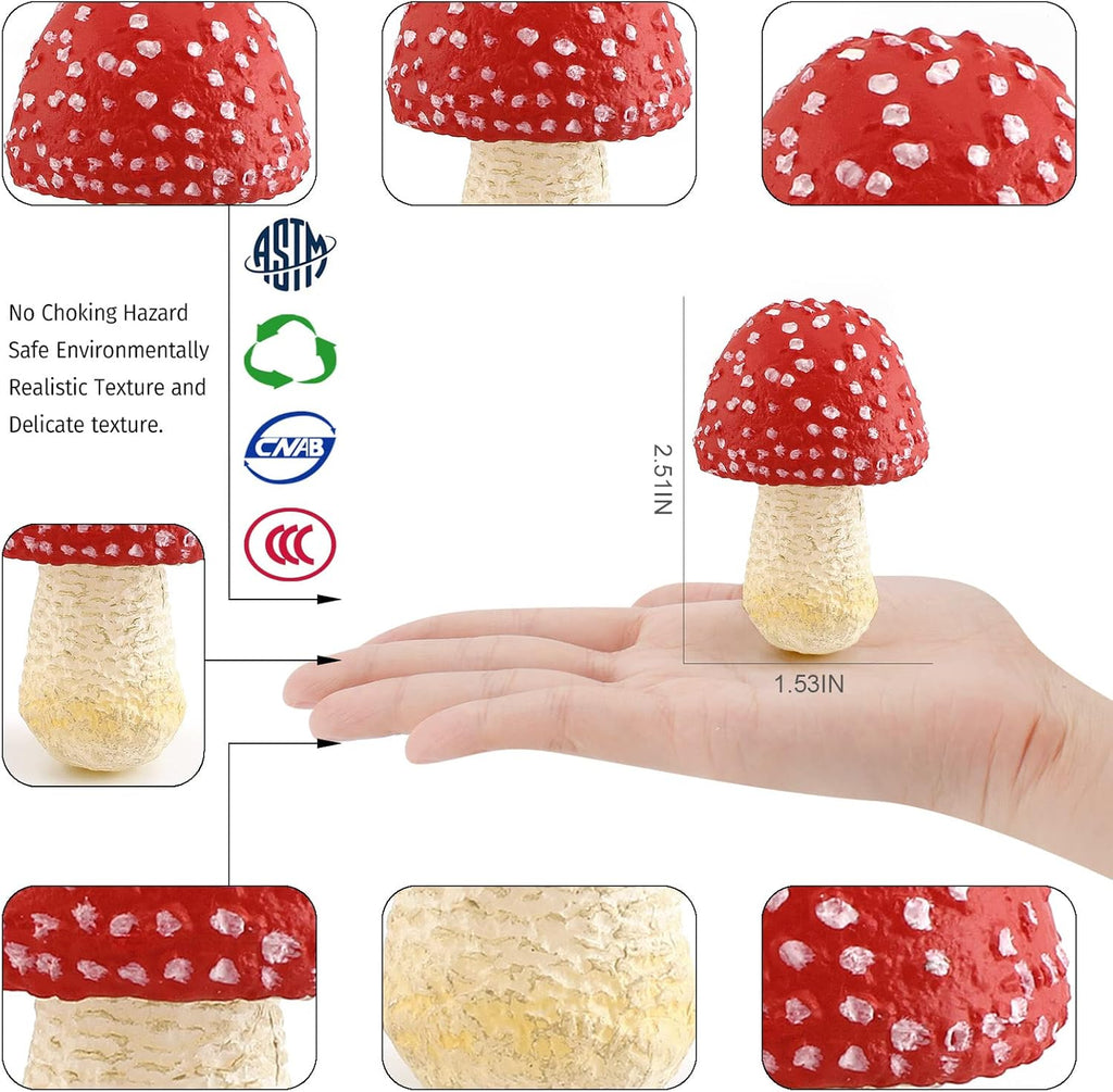 1.5Inch Mushroom Toy Set Fantastic Fungi Figure 4PCS Realistic Life Cycle of Mushroom Decor for Diorama Projects Kids Birthday Gift Learning Toy