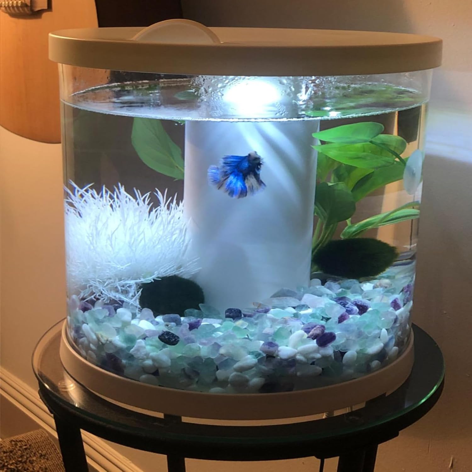 1 LB Small Crystals Rocks, Tumbled Chips Stone, Natural Quartz Crystals for Crafts, Pebbles for Indoor Plants, Decorative Stones for Vases, Succulents, Cactus