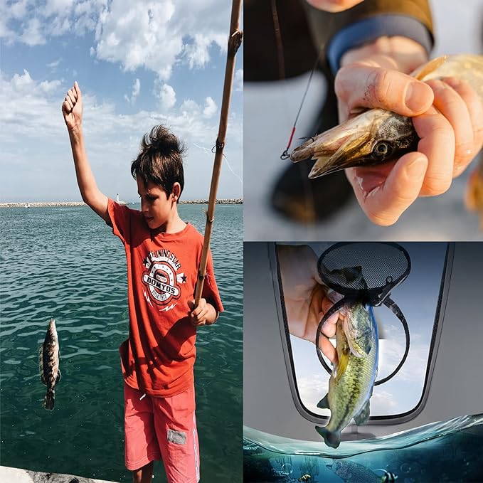 Transparent Lid Fishing Bucket, Portable Foldable Fishing Bucket, Bait Bucket, Fish Bucket, Live Bait Storage. (8 gallons)