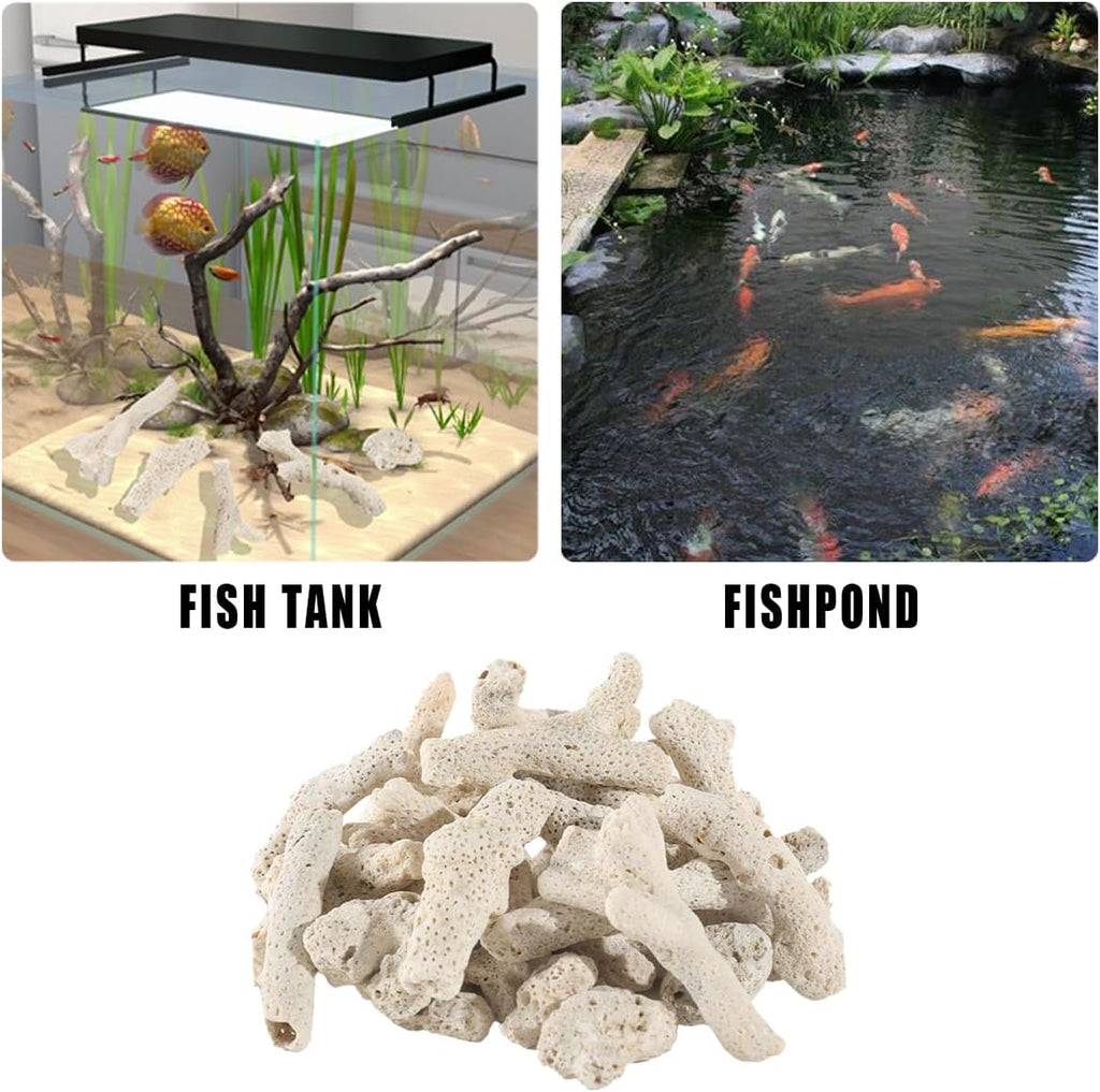 1.1 LB Coral for Fish Tank Filter,Crushed Coral for Aquarium,Pond Filter for Aquarium - Crushed Coral for Freshwater Aquarium,Aquarium Filter, Coral Stones, Each One is Hand Selected