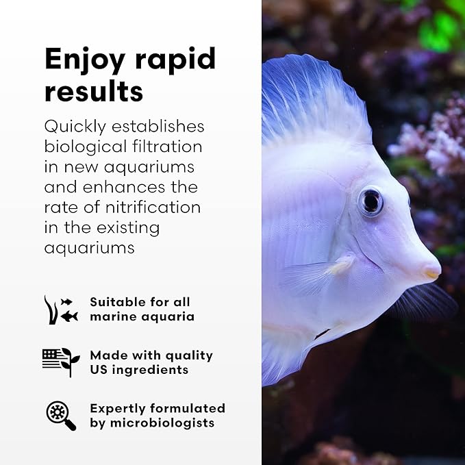 Brightwell Aquatics MicroBacter Start XLM - Concentrated Freshwater Nitrifying Bacteria - Quick Start Fish Tank Starter, Lift Microbe Levels & Water Filtering - Aquarium Water Treatments, 4.22 fl oz