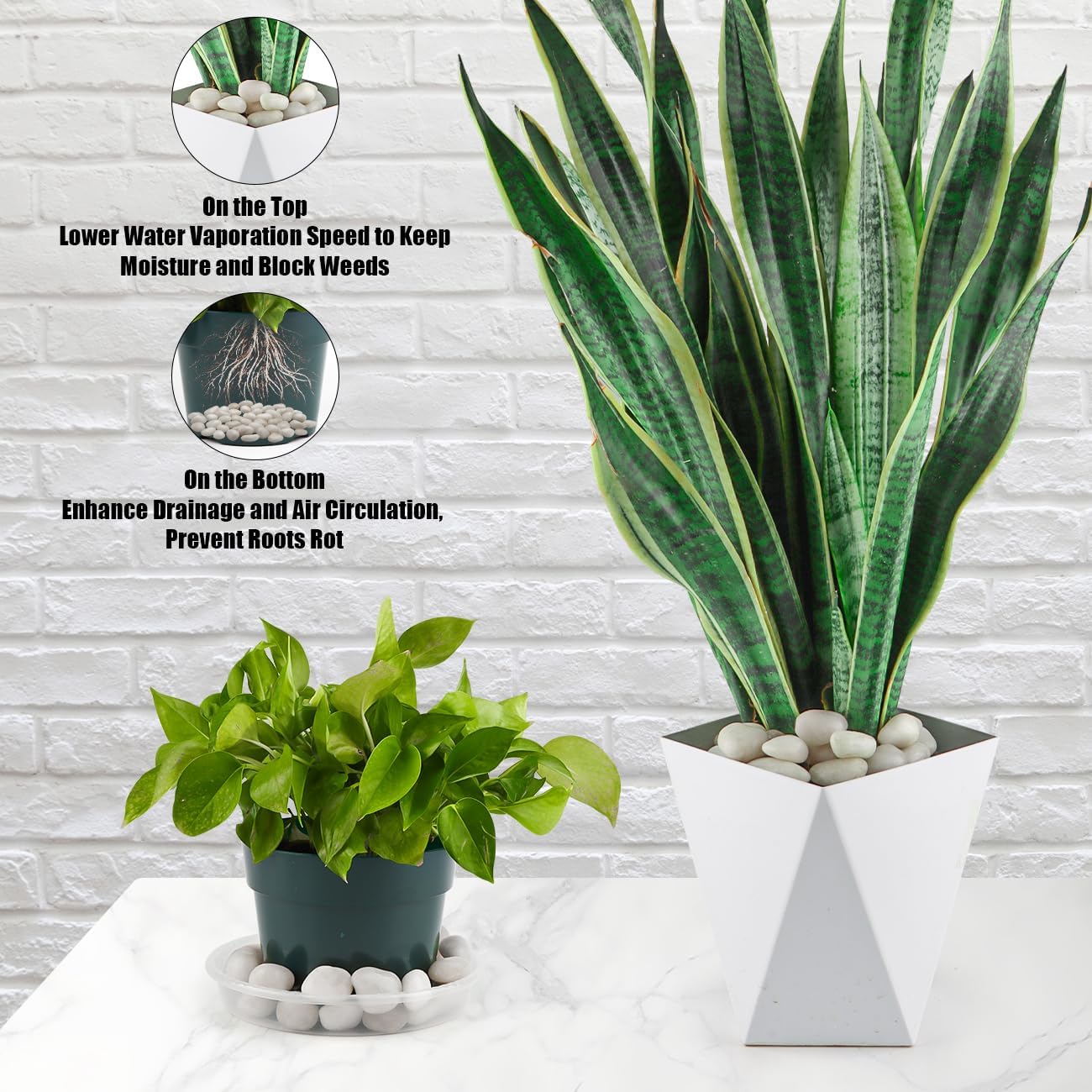 1 Pack 5 Lbs Random Color River Rocks for Plants,0.8-1.5 Inch Decorative Ornamental Pebbels, High Polished Stones for Garden Landscaping, Smooth Gravel Filler, Succulents, Fish Tank, White/Yellow