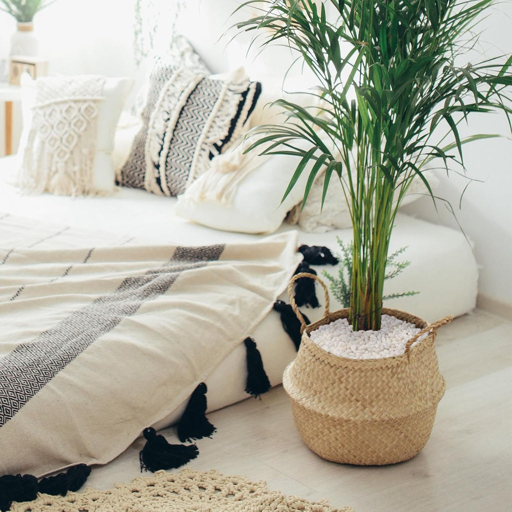 10 lbs White Garden Pebbles for Plants, 3/8" Small Plant Rocks for Pots Indoor, Decorative Pea Gravel for Succulents, Bamboo, Terrarium, Landscaping, Garden