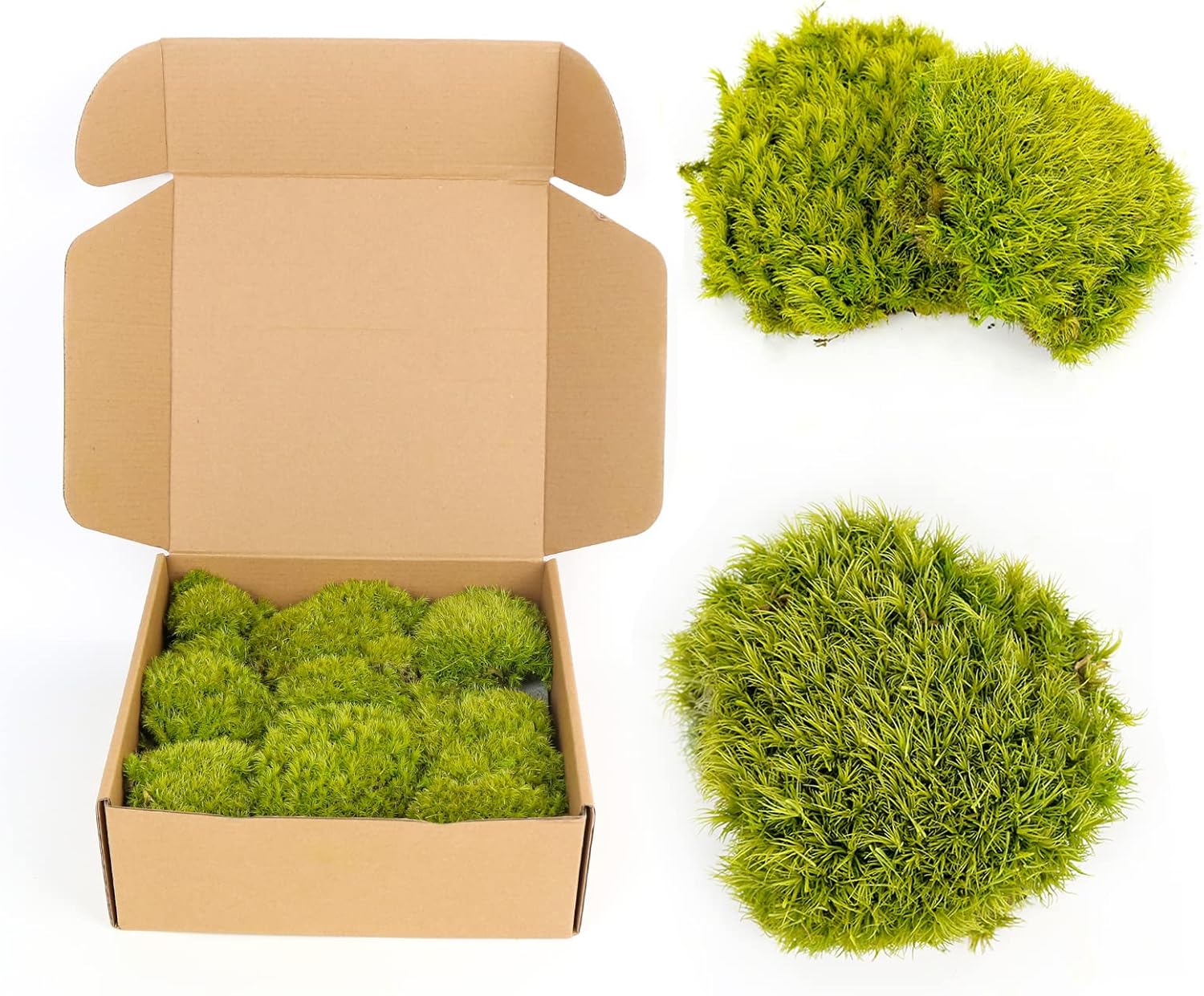 1.5 Sq. Ft. Preserved Moss Pole Decorative Moss for Crafts, Art, Wall Decor,Yellow Green Moss