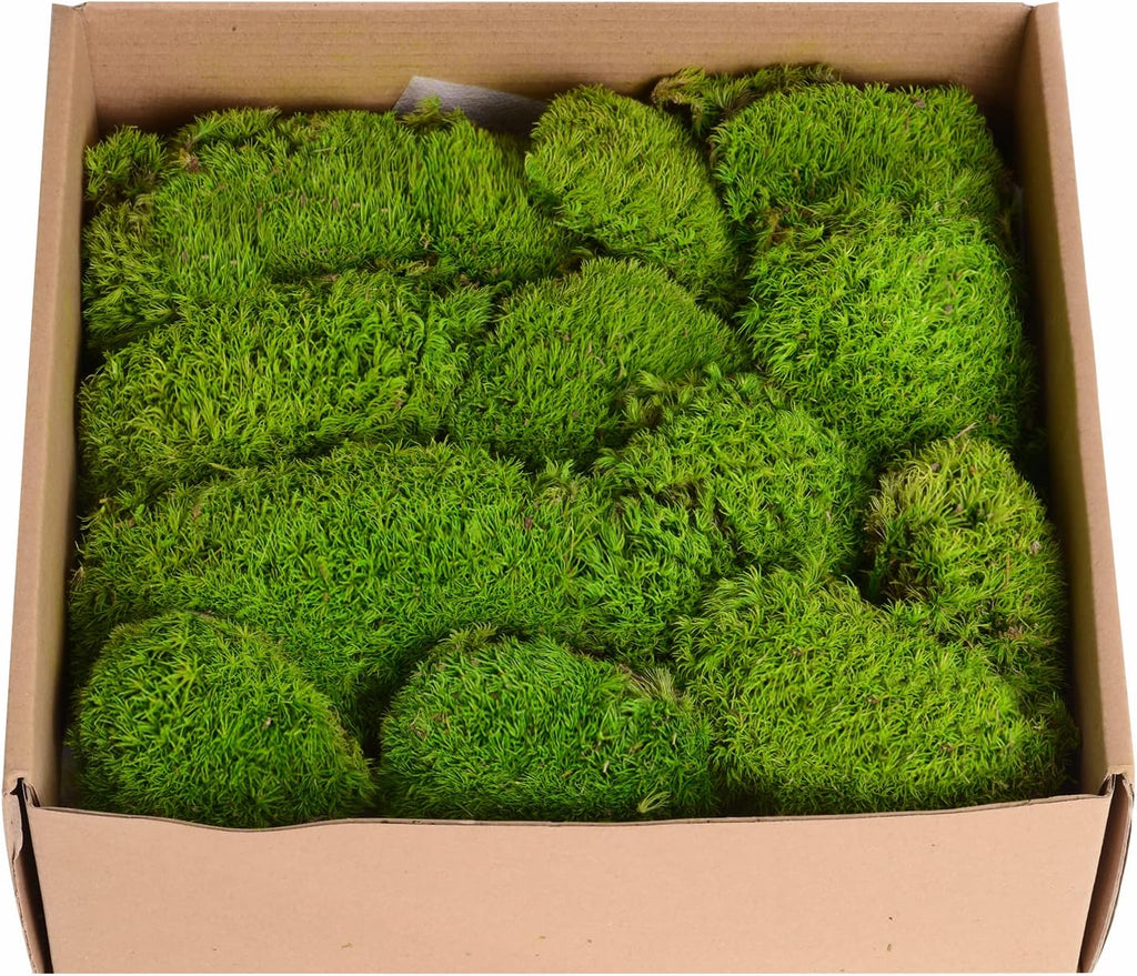 1.5 Sq. Ft. Preserved Moss Pole Decorative Moss for Crafts, Art, Wall Decor,Yellow Green Moss