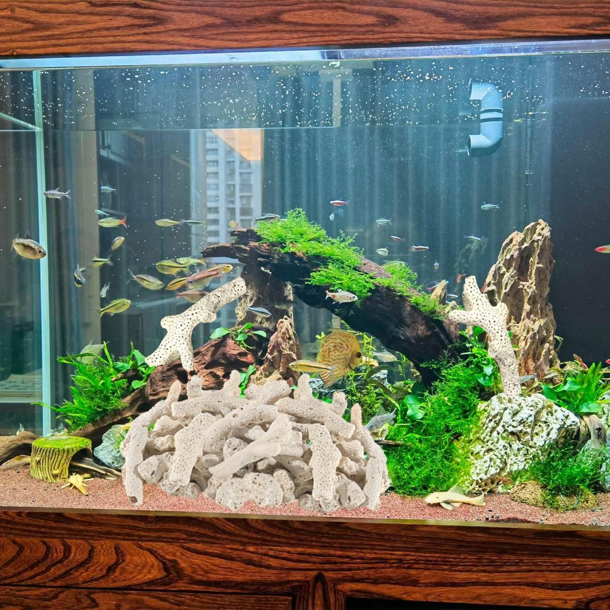 1.1 LB Coral for Fish Tank Filter,Crushed Coral for Aquarium,Pond Filter for Aquarium - Crushed Coral for Freshwater Aquarium,Aquarium Filter, Coral Stones, Each One is Hand Selected