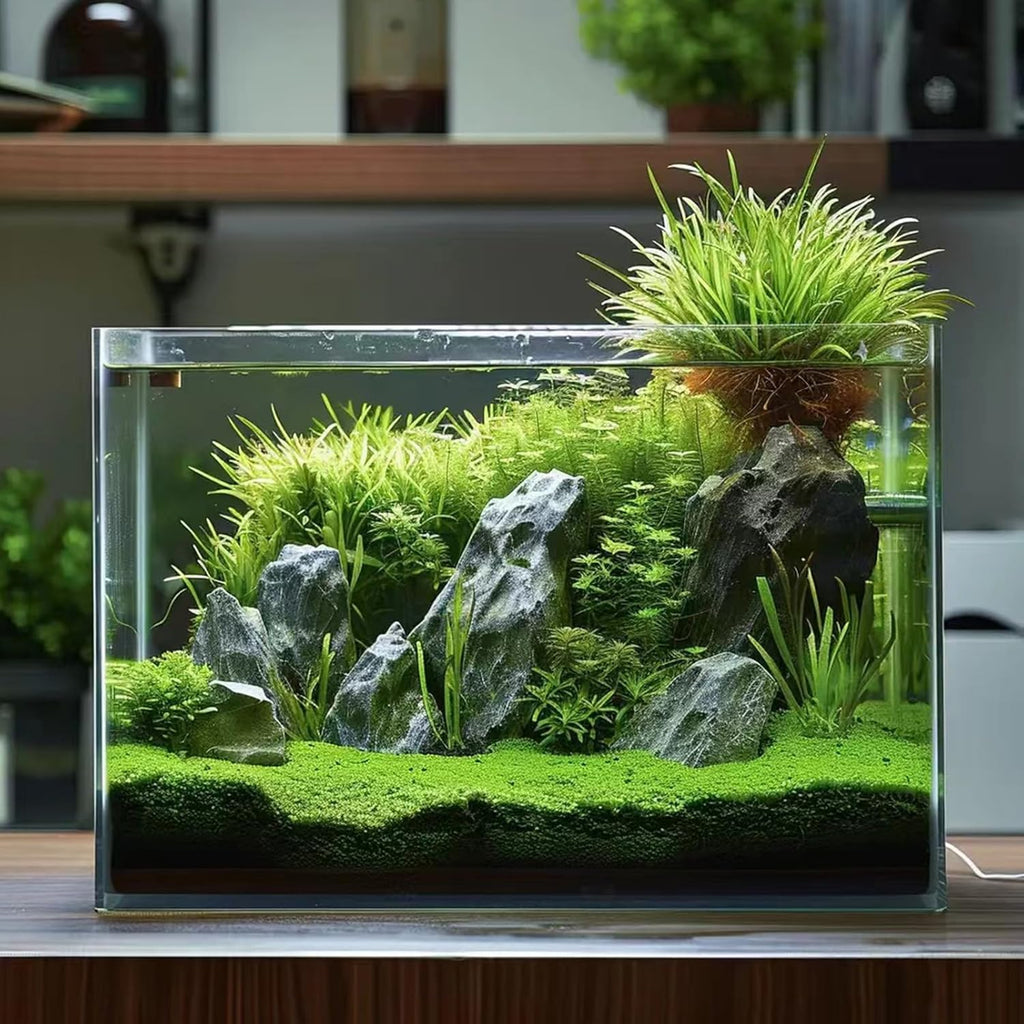 10 Gallon Glass Fish Tank, Easy to Maintain Small Aquarium for Betta/Goldfish/Snails/Shrimp and Aquatic Planting.