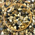 10 lbs Pea Gravel for Landscaping, 2/5 Inch Size Mixed Color River Rocks for Aquarium, Succulent, Vase Fillers, Cactus Bonsai, Plant Soil Cover and Outdoor Garden Rocks.