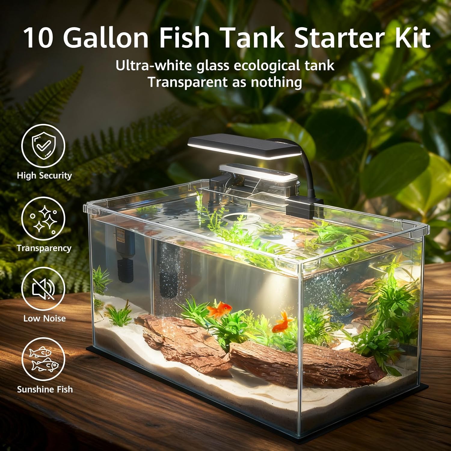 10 Gallon Glass Small Fish Tank with Filter Light and Lid, Aquarium Starter Kit