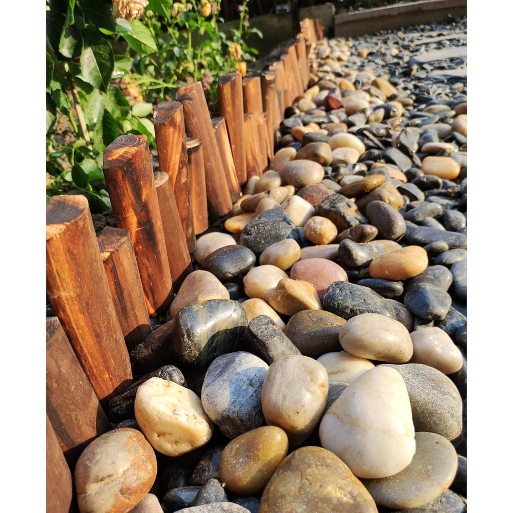 10 lbs Pebbles for Indoor Plants, 2-3 inch Large River Rocks Decorative Stones for Garden, Aquarium, Vase Fillers, Outdoor Landscaping and Backyard